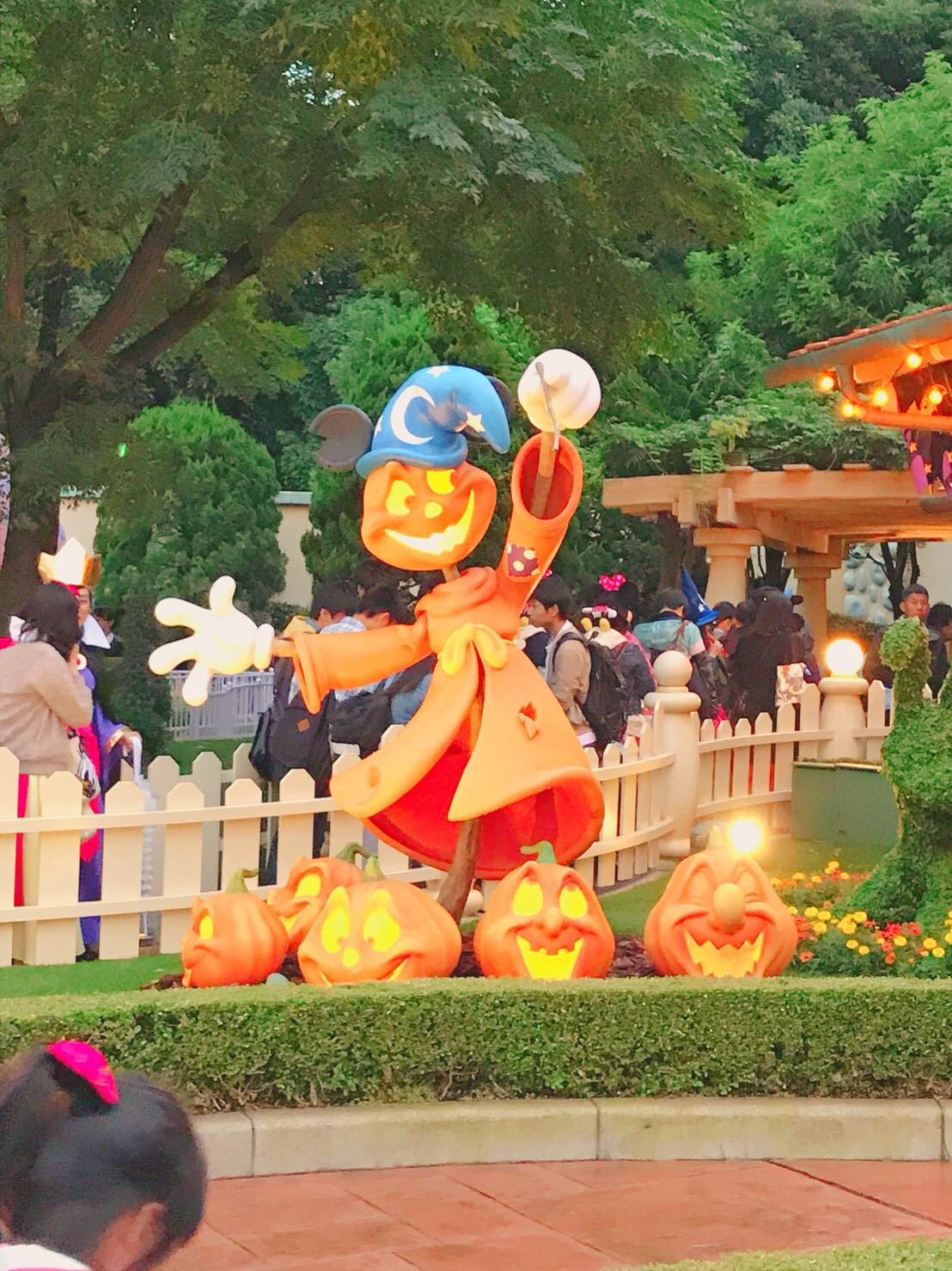 ディズニーランド🐭🏰